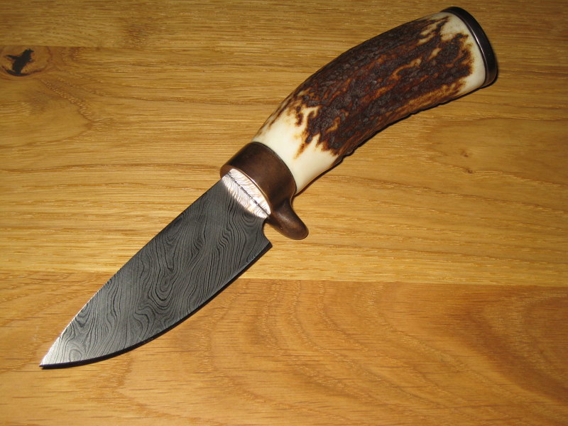 Damennicker_4.JPG
