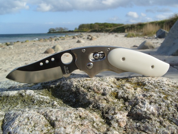 comp_Spyderco_Phoenix_Strand_.jpg