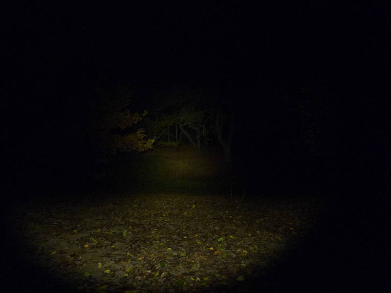 P1020101.JPG