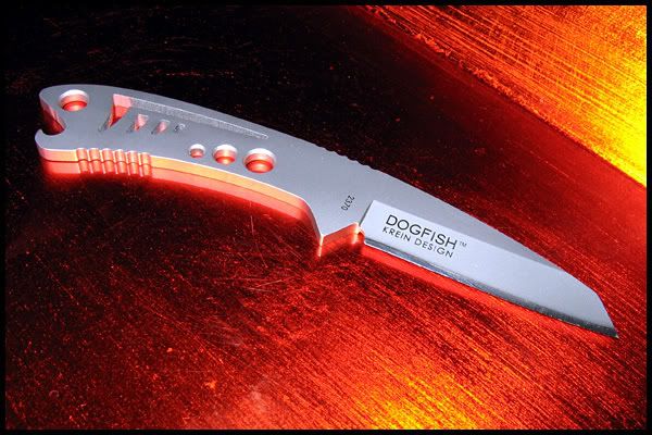 dogfish005.jpg