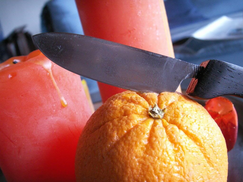 PICT0028.jpg
