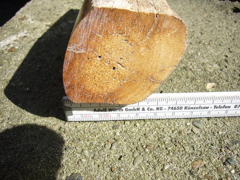 7b.JPG