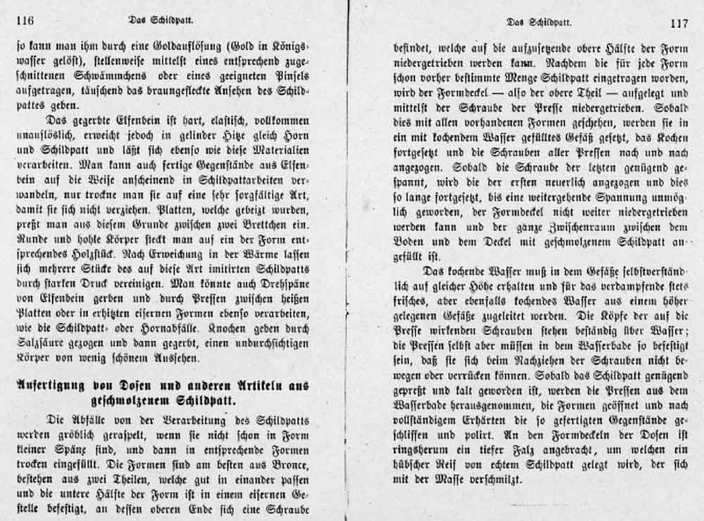schildpatt3.jpg
