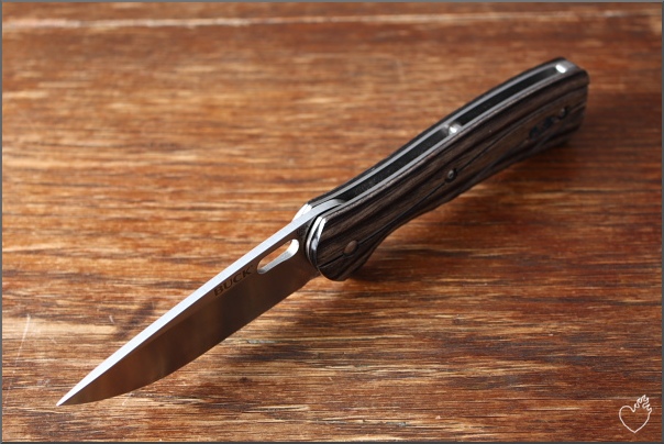 buck_vantage_003.JPG