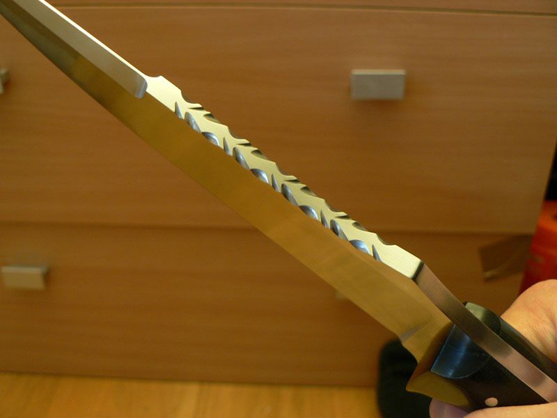 P1000208a.jpg