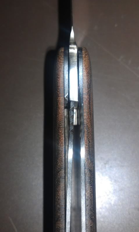 IMAG0182.jpg