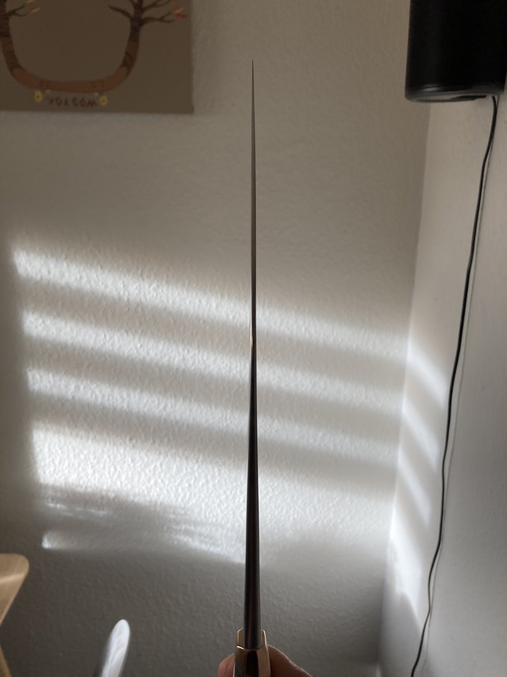 47026782ly.jpg