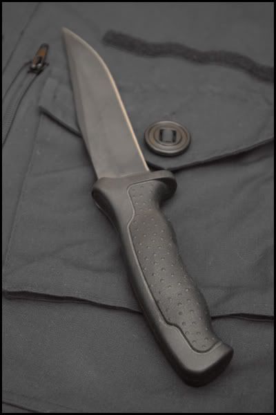 buck_02.jpg