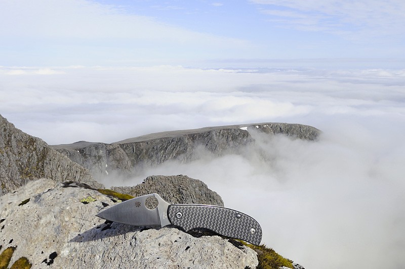bennevis%20ASA_7285fert.jpg
