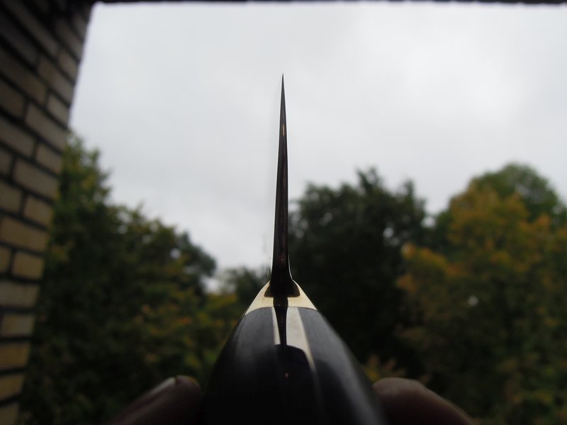 30625686oi.jpg