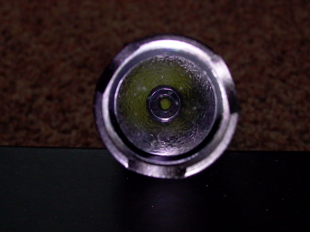P1000101.jpg