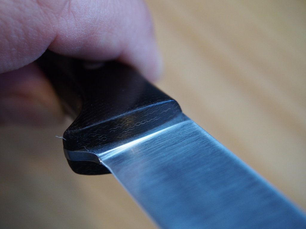 42354151yf.jpg