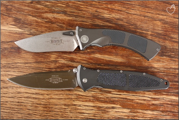 microtech_v_002.JPG