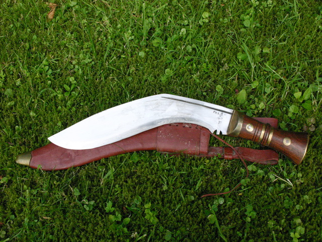 gurke02.jpg