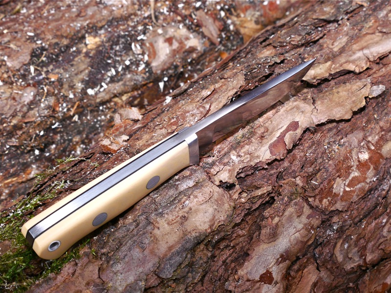Huntsman_2.jpg