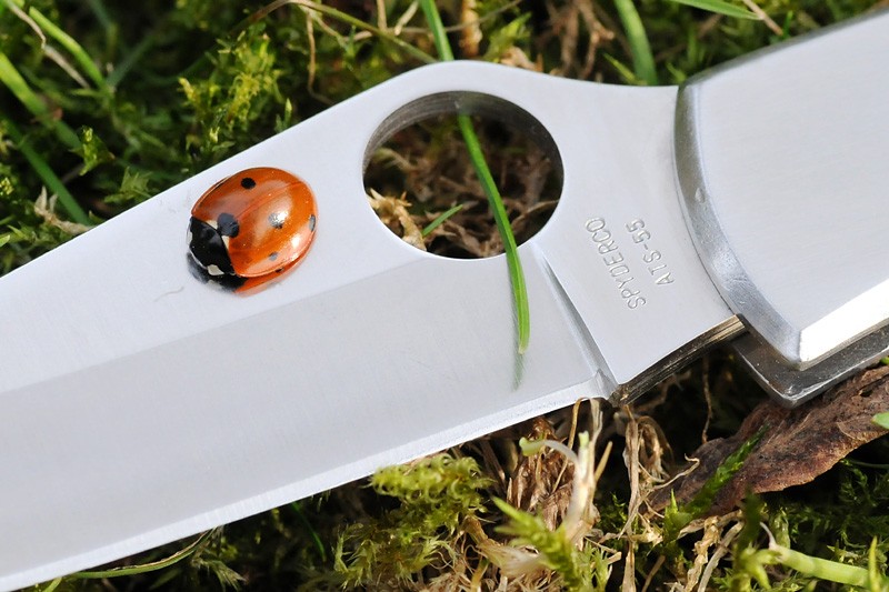 marienkaefer5820fert.jpg