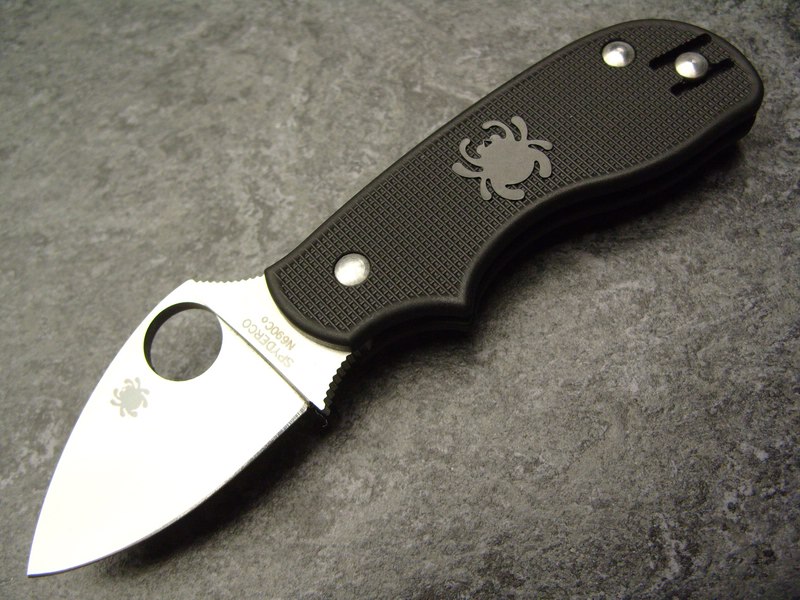 comp_S1056195.jpg
