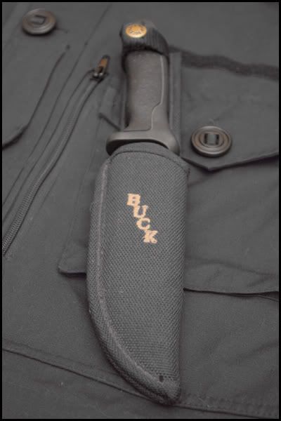 buck_01.jpg