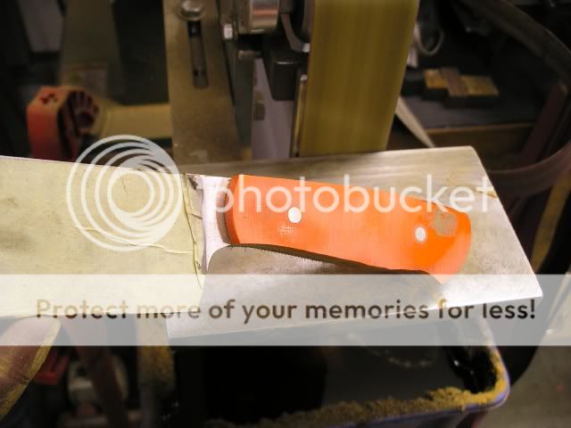 IMGP5337.jpg