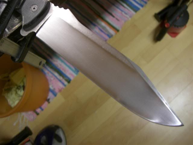 CIMG2402Small.jpg