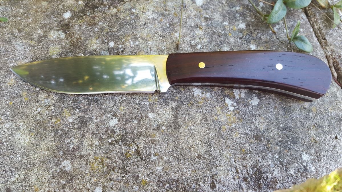 Cocobolo1.N690.jpg