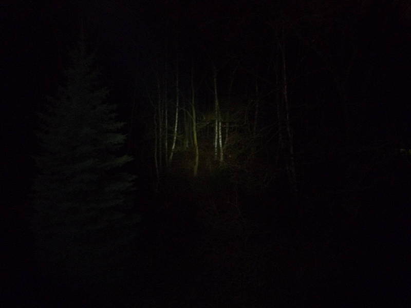 P1020418.JPG