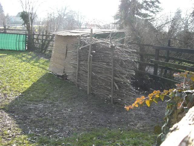 CIMG2475Small.jpg