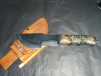 161.jpg