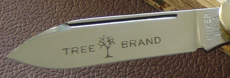 7615693zlr.jpg