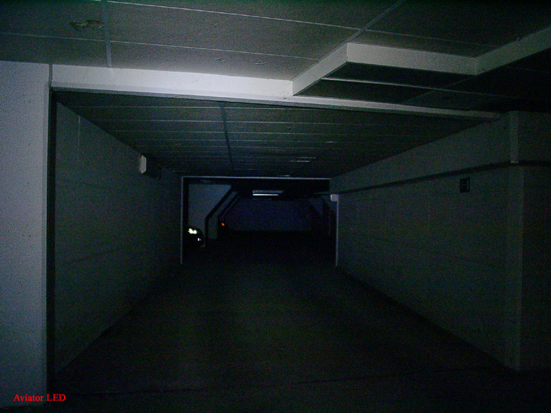 213_p1999.jpg