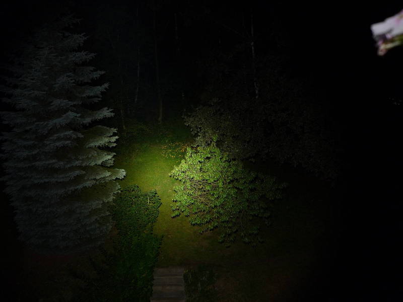 P1030241.JPG