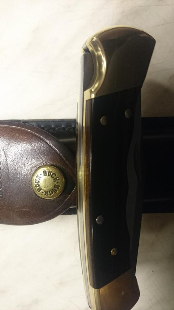 Buck110mitRocker.JPG