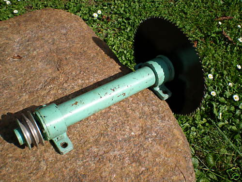3124584.jpg