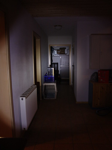 3160641087_21f7688ec2.jpg