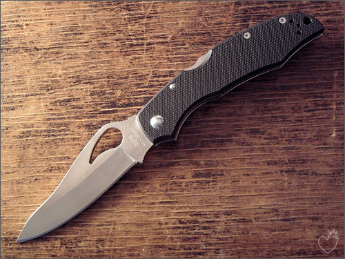 caracara_05.jpg
