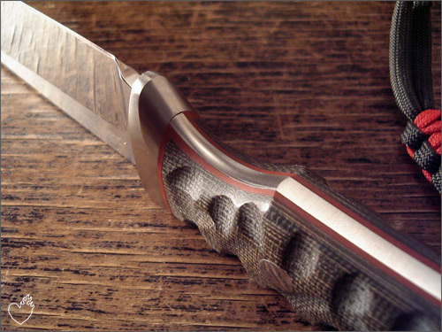 boker_savannah_01.jpg
