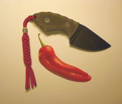 CIMG4848Small.jpg