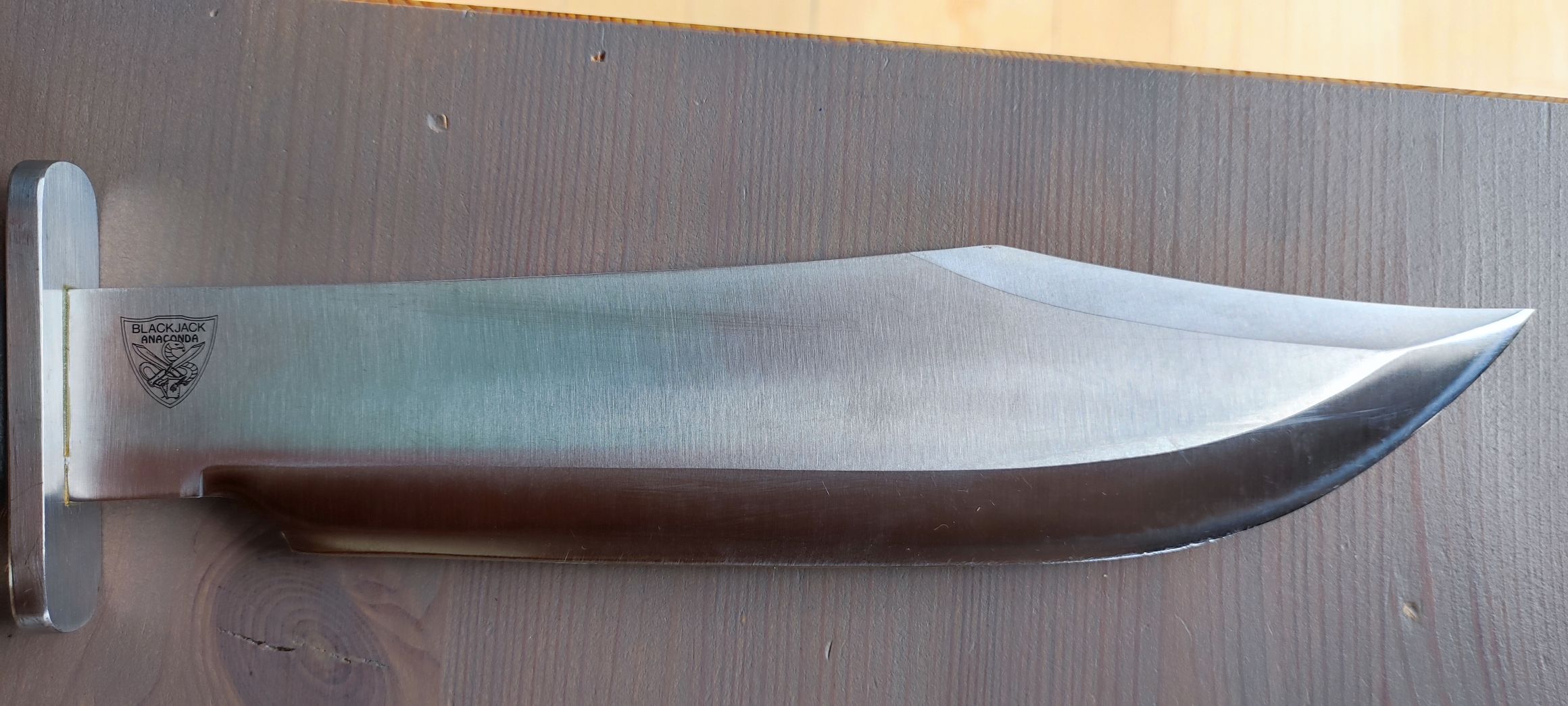 t46wtk7v.jpg