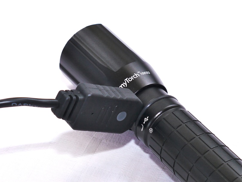 Nextorch_5.jpg