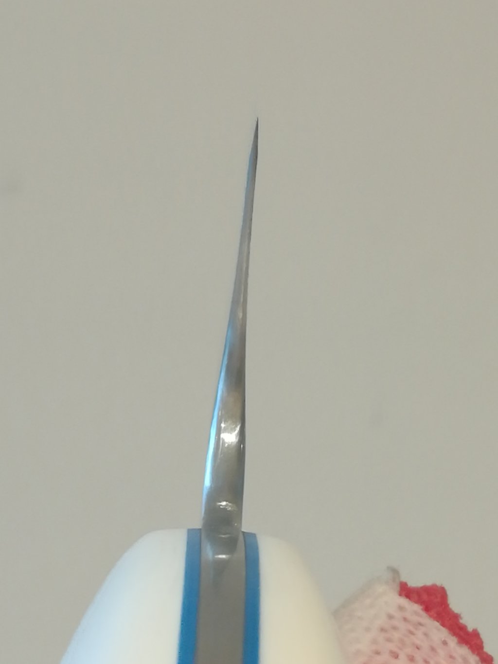 36496336sb.jpg