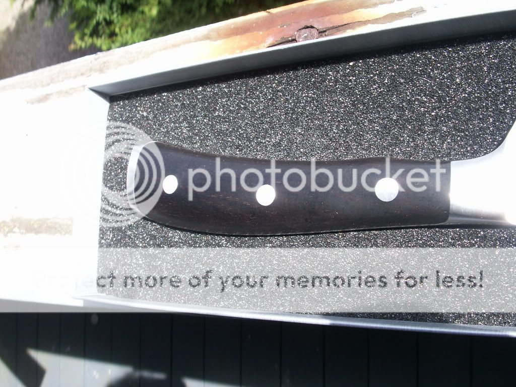 PICT0206.jpg