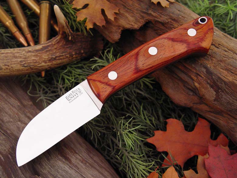 t_cocobolo_1_259_95_jenni.jpg