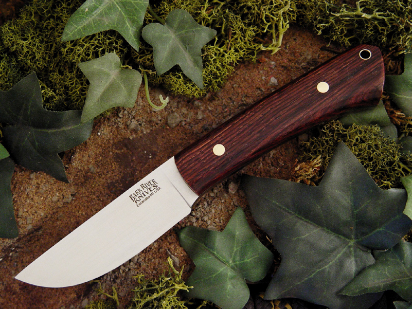 W_Cocobolo_2_Jenni.jpg