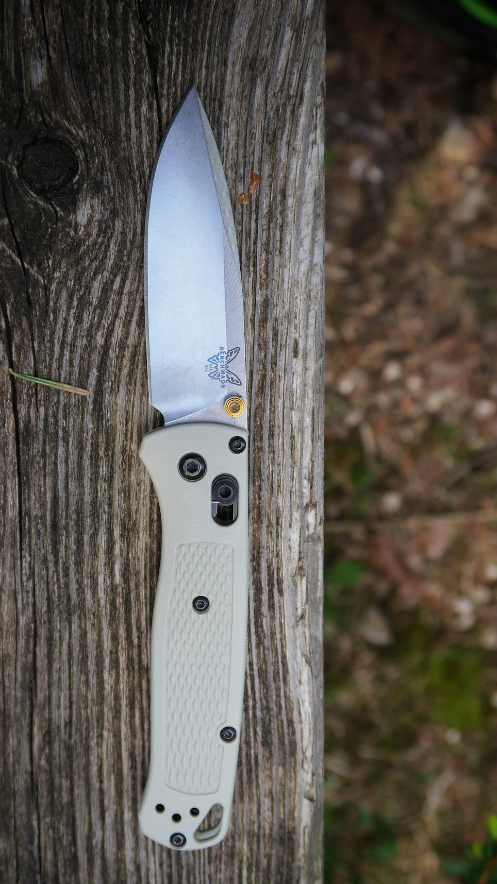 48874095ev.jpg