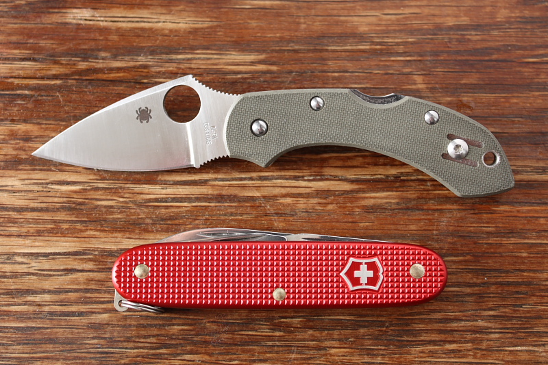 Spyderco_drangonfly_009.JPG