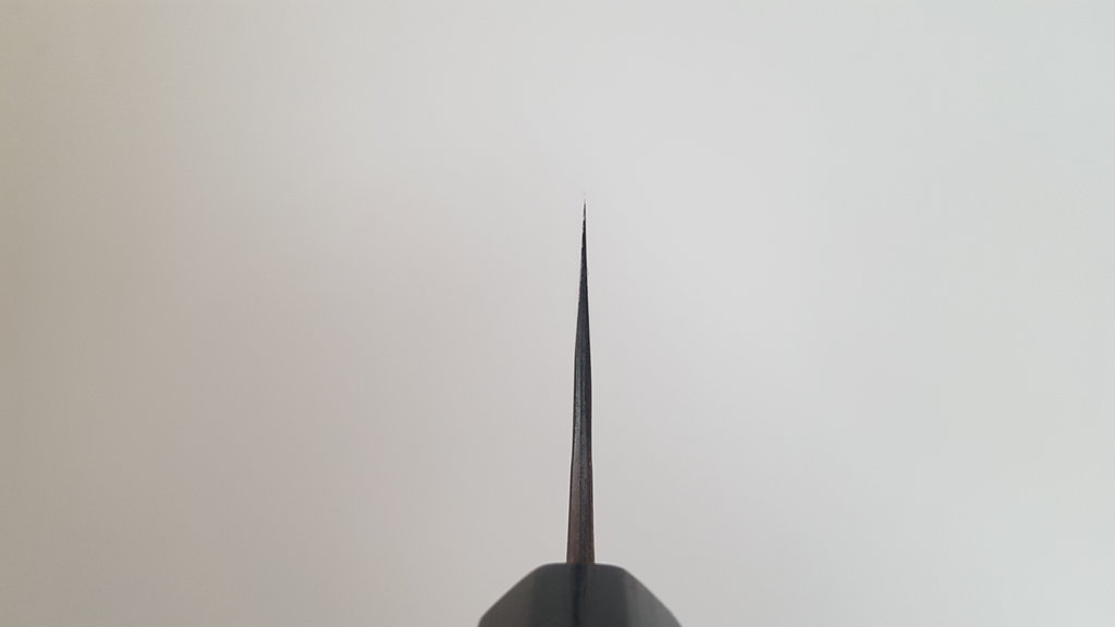 45564000zk.jpg