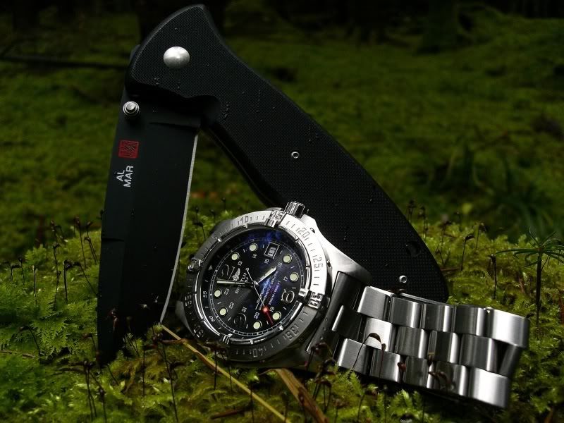 a7c1d616.jpg