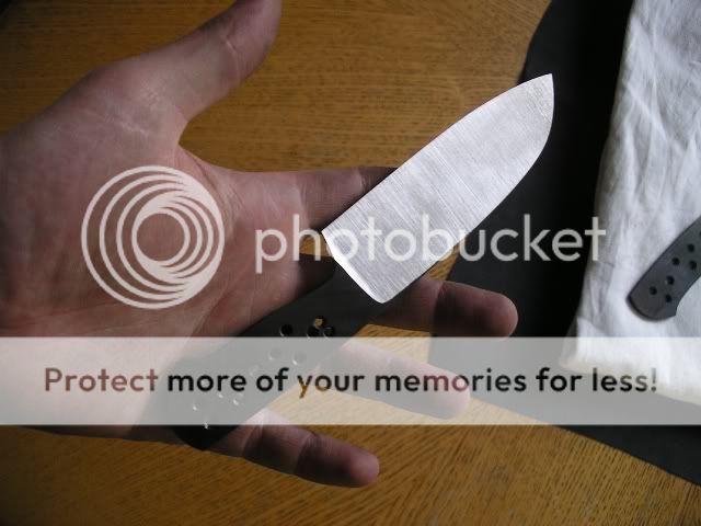 IMGP5276.jpg