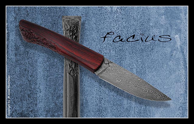 Facius_0933_4_GW111.jpg