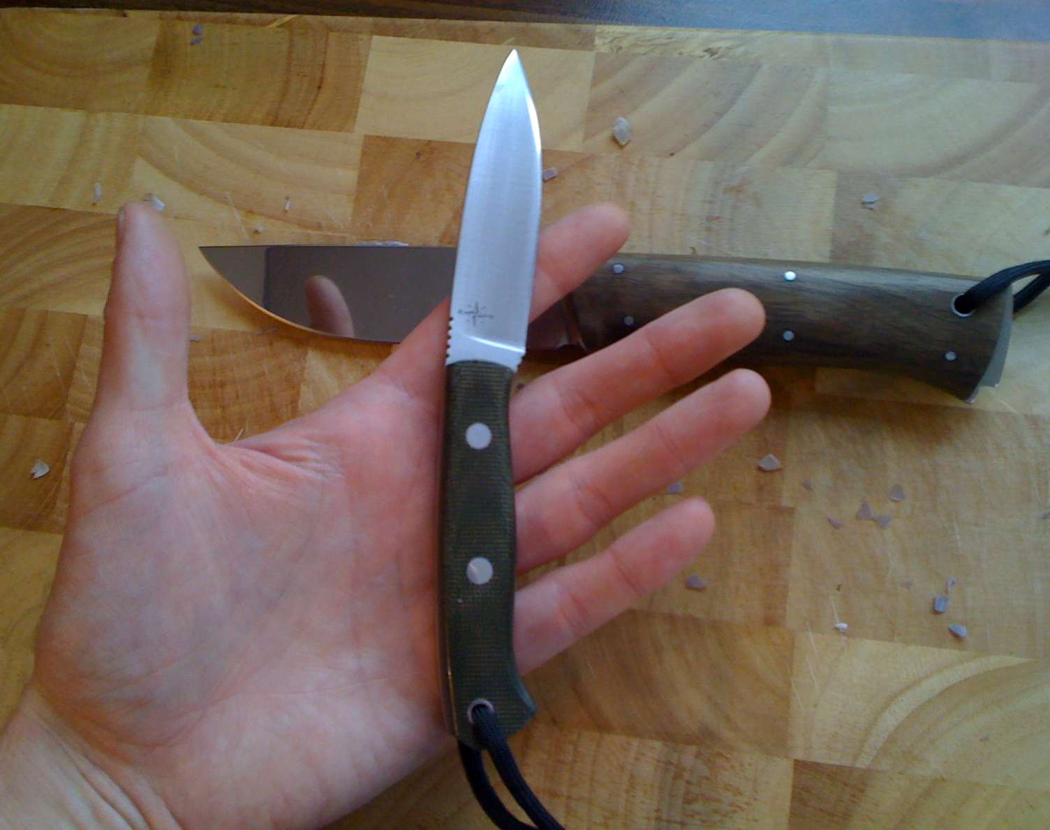 mininorthstar01.jpg